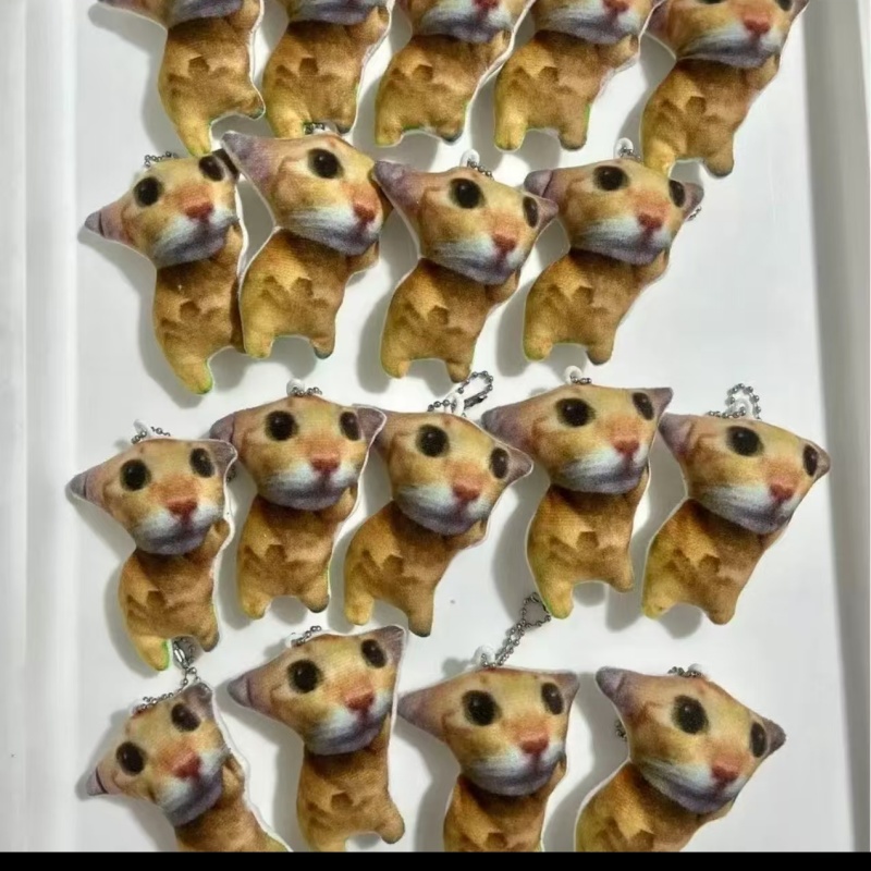 01db24cfbb036a33dfea5a0300f5ff0f